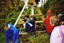 Kinder vor Holzregal im Wald